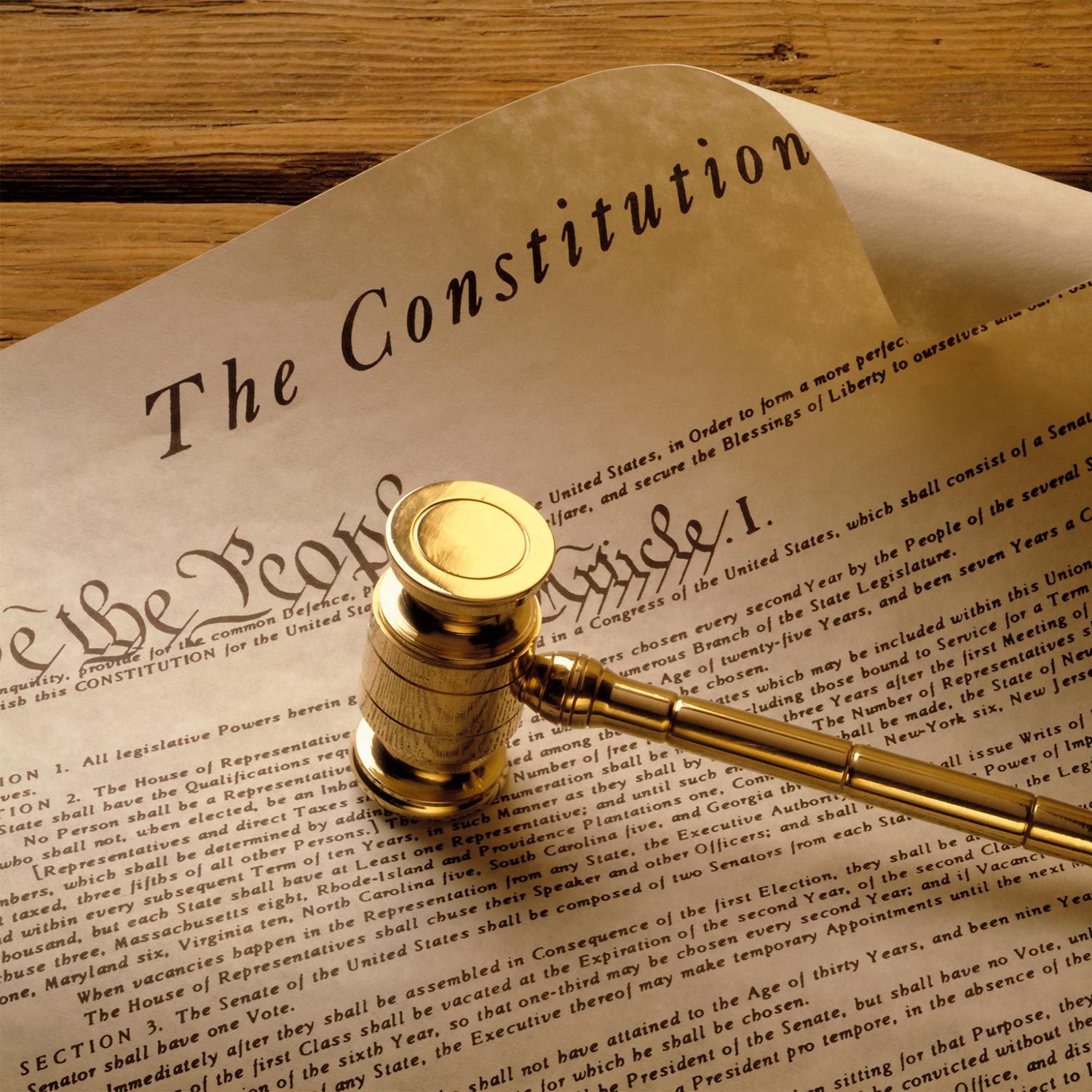 Constitution